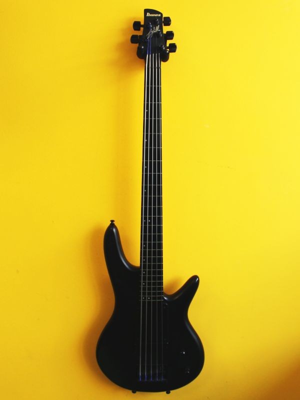 Ibanez GWB35 Gary Willis Signature 5-String Active Fretless